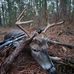 Shane Byers - Facebook