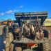 Shane Cain - Facebook