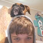 Shane Cain - @shane_cain19_ - Instagram