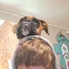 Shane - @shanecain19 - TikTok