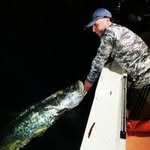 Shane Callan - @shane_callan._ - Instagram