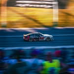 @shanecalvertphotos - Instagram