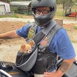Shane Carney - @shane.carney.37 - Instagram