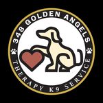 Shane Carney - @348_golden_angels_therapyk9 - Instagram