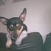 Shane Carter - Facebook