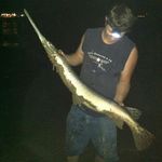 Shane Carter - @shane.carter.7965 - Instagram
