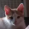my fault yes. yes it was - @shane.case33 - TikTok