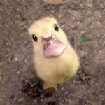 Shane Chadwick - @schadwick29 - Instagram
