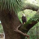 Shane Chamberlin - @chamberlinshane - Instagram