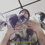 Shane Chandler - @shanewc_ - Instagram