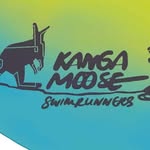 ShaneChaplin🇸🇪🇦🇺Swimcoach - @kangamoose_swimrunners_shane - Instagram