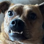 Shane Clanton - @20chainshane - Instagram