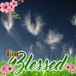 Shane Clement - @clementshane715 - Instagram
