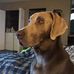 Shane Cloud - Facebook
