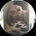 shane.cloud - @shane.cloud10 - Instagram