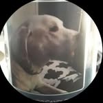 shane.cloud - @shane.cloud8 - Instagram