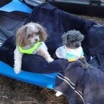 Shane Coffman - @shanecoffman300 - Instagram