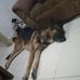 Shane Coffman - Facebook