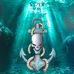 Shane Coghlan - Facebook