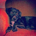 Shane.C - @shanecolwell101 - Instagram
