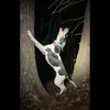 shane combs - @shanecombs21 - TikTok