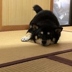 Shane Cooke - @shane.cooke.7330 - Instagram