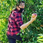 Shane Cooney - @shaney_but_call_me_action - Instagram