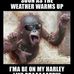 Shane Corbin - Facebook