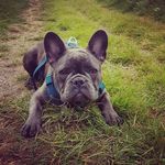Shane Corbin - @shanecorbin3 - Instagram