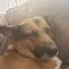 Sean Cordle - @seancordle - TikTok