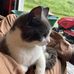 Shane Cornett - Facebook