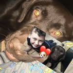 Shane Coyle - @shanyyboii07 - Instagram