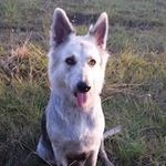 Shane Creech - @shane.creech.14 - Instagram
