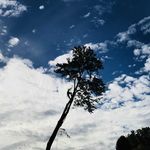 Shane Creech - @creech.shane - Instagram