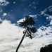 Shane Creech - Facebook