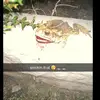 Shane Creech - @shane.creech - TikTok