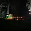 Shane Culbert - @wongawateringhole - TikTok