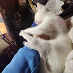 Shane Dailey - @daileyshane - Instagram
