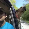 shanedailey4837 - @shanedailey4837 - TikTok