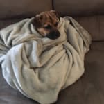 Shane Davison - @shane.davison - Instagram