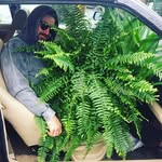 Shane Devine - @shanerah - Instagram
