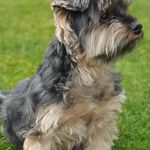 Shane Dodd - @shanedodd50 - Instagram