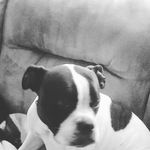 Shane Dougherty - @shanedoc14 - Instagram