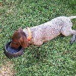 Shane Durham - @durhamshane - Instagram