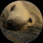 Shane Eaton - @shimsha.mmmm - Instagram