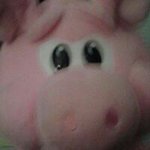 shane eaton - @yolo_mc.swagger - Instagram