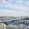 Shane Echols - @shaneechols - TikTok