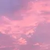 Shane Eckert - @hatchie225 - TikTok
