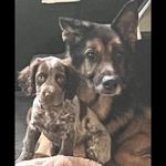 Shane eddy - @shane.eddy20 - Instagram