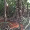 shaneeden663 - @shaneeden663 - TikTok